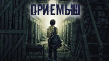 Приёмыш - Александр Цзи