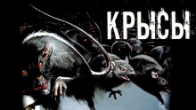 Крысы - Даниил Азаров