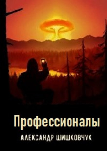 Профессионалы - Александр Шишковчук