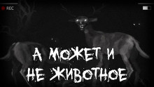 А может и не животное - Автор неизвестен