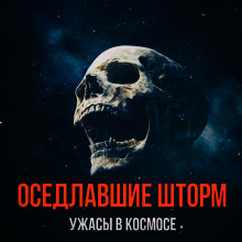Оседлавшие шторм - Автор неизвестен