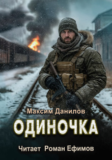 Одиночка - Максим Данилов
