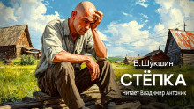 Стёпка - Василий Шукшин